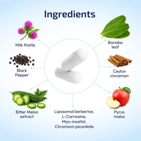 Glucose Management – 10-in-1 Liposomal Formula - Image 4